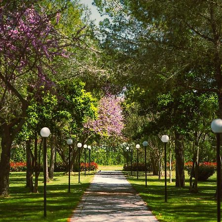 Green Park Divjake Bagian luar foto