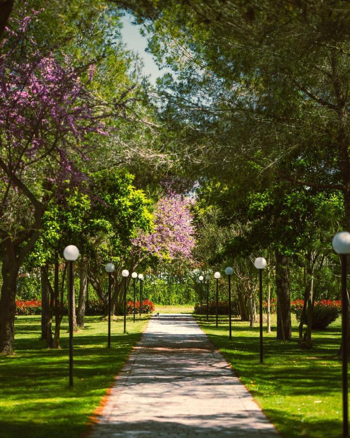 Green Park Divjake Bagian luar foto