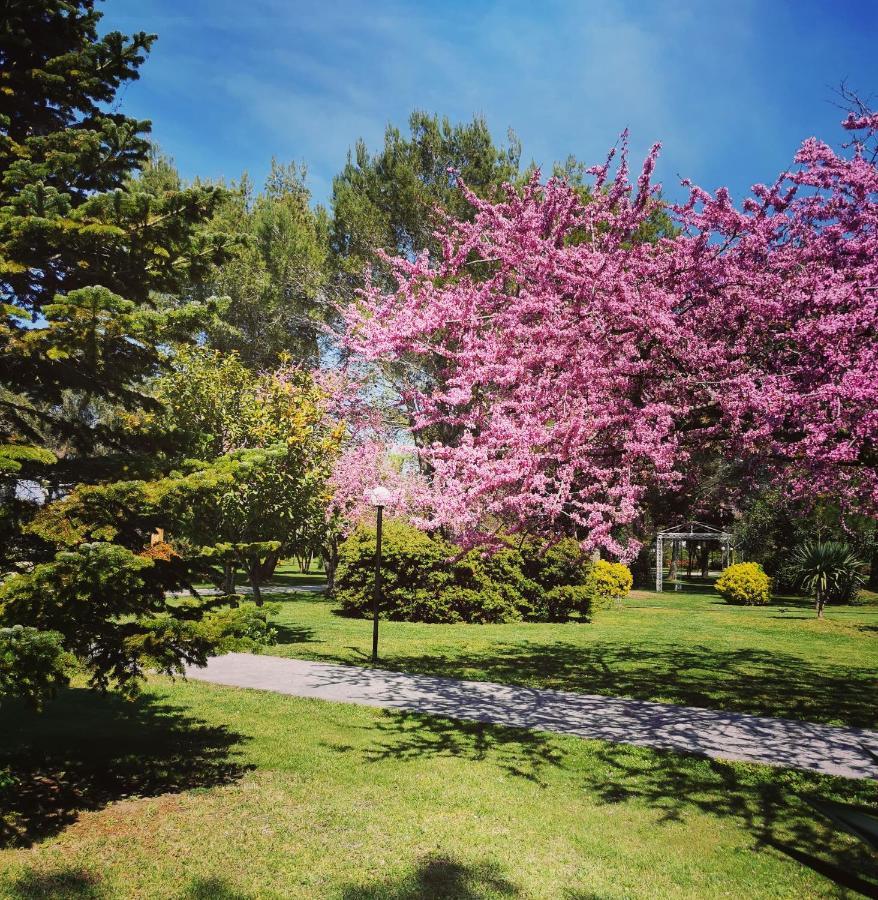 Green Park Divjake Bagian luar foto