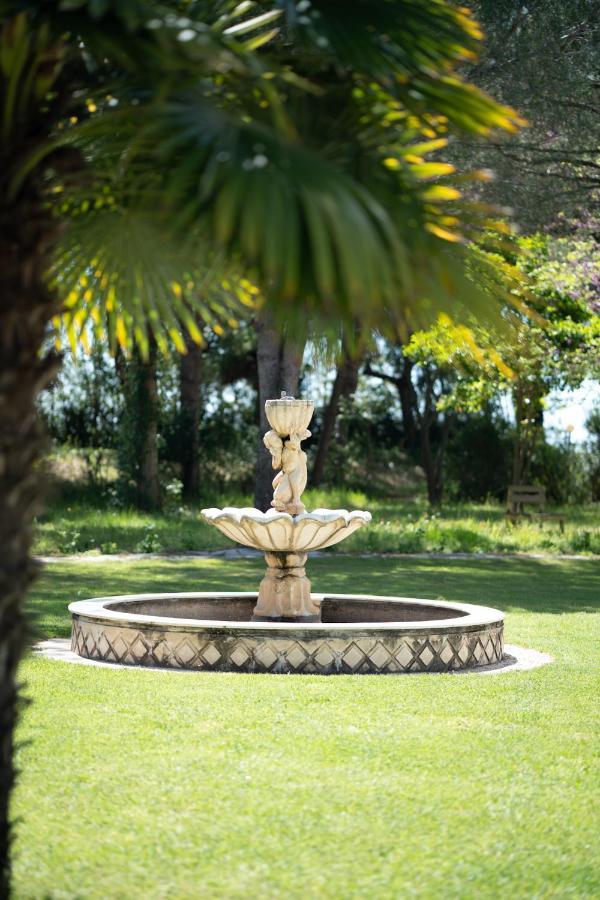 Green Park Divjake Bagian luar foto