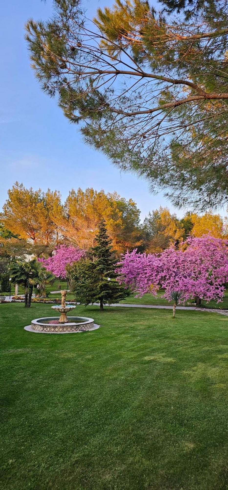 Green Park Divjake Bagian luar foto