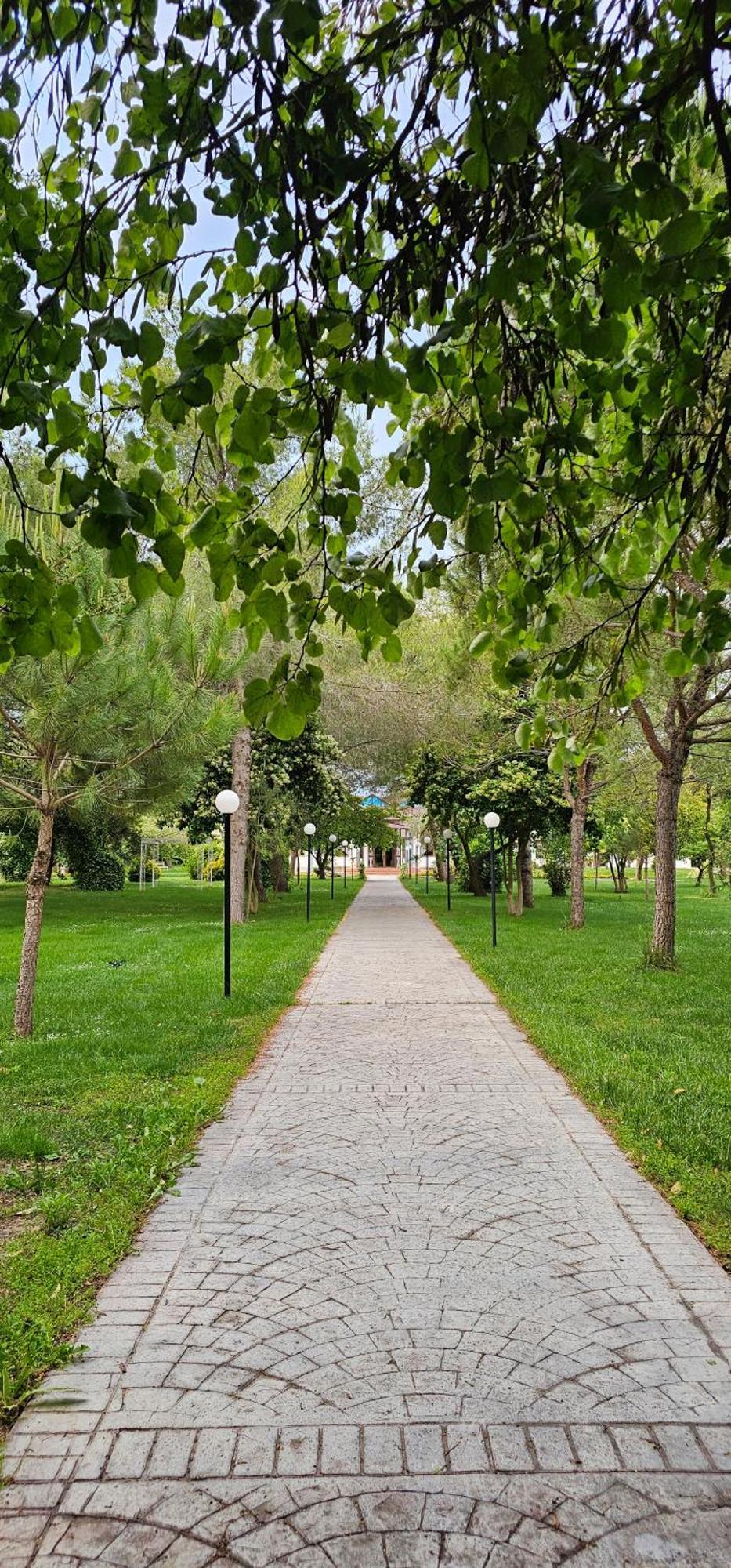 Green Park Divjake Bagian luar foto