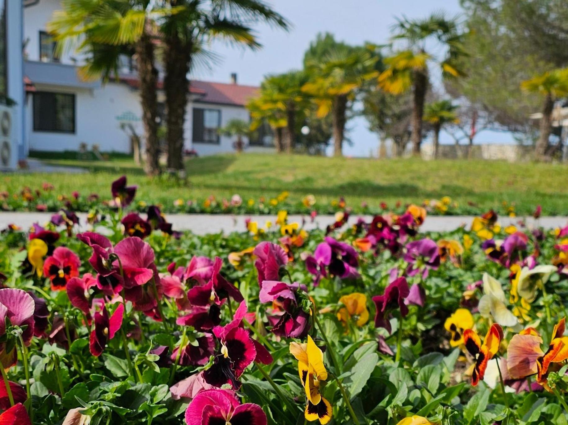 Green Park Divjake Bagian luar foto